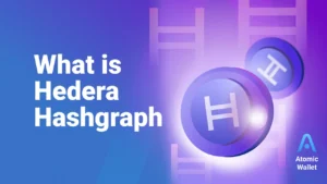Read more about the article “Hedera Hashgraph: Leading the Digital Charge – The Strategic Advantage for Forward-Thinking Companies”2.5